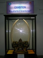 real elephant tusks
